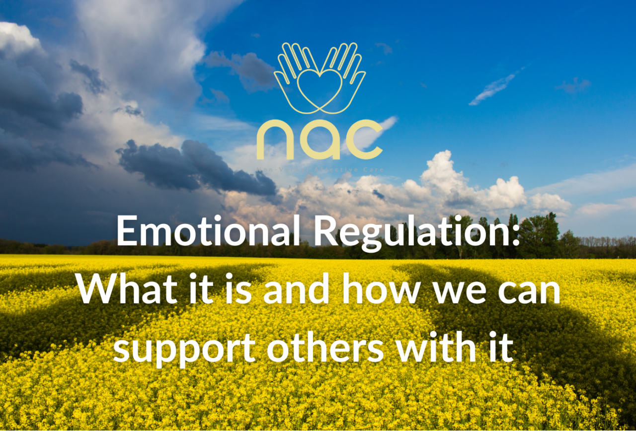 emotional-regulation-what-it-is-and-how-we-can-support-others-to-do-it