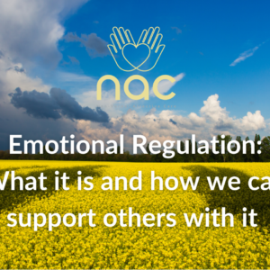 A picture with the Ukrainian flag colours and text saying Emotional Regulation: What it is and how we can support others with it