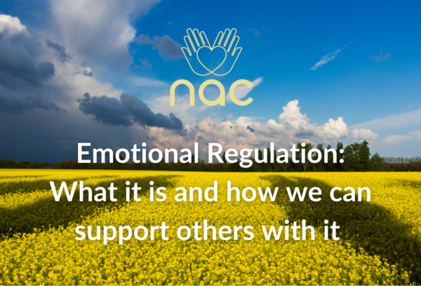A picture with the Ukrainian flag colours and text saying Emotional Regulation: What it is and how we can support others with it
