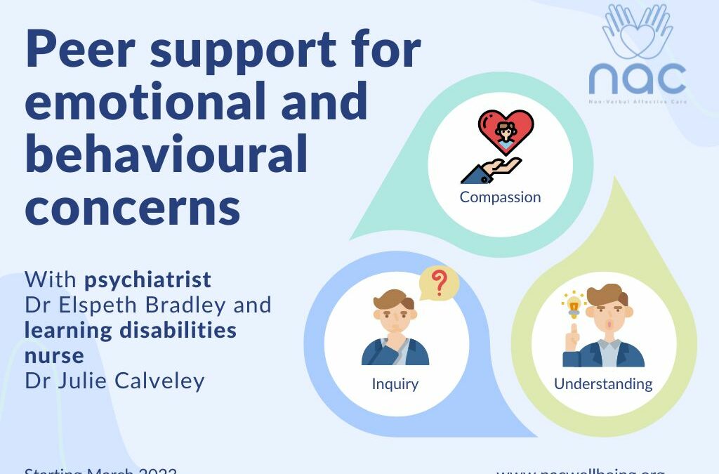 Peer support for emotional and behavioural concerns