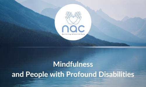 Mindfulness and People with Profound Disabilities