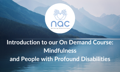 Introduction to Mindfulness and People with Profound Disabilities